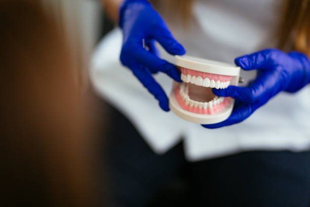 Dental X-Rays and Imaging in Thief River Falls, MN